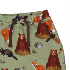 Sonbahar - Pamuk (Organik)