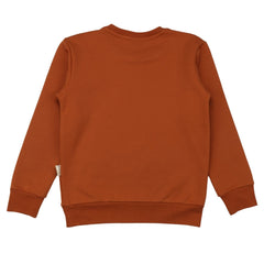 Brown-Sweatshirt 98