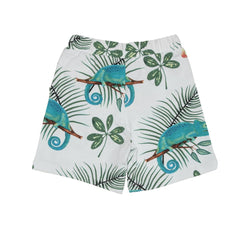 Cotton shorts (organic)