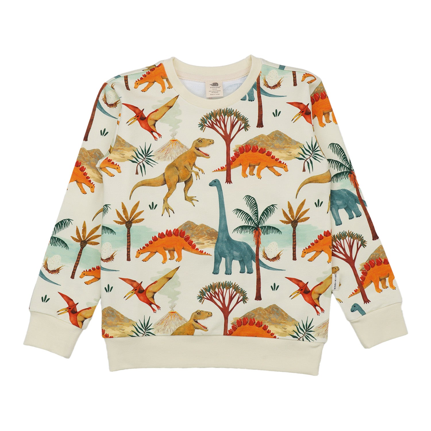 Dinasaur World-Sweatshirt