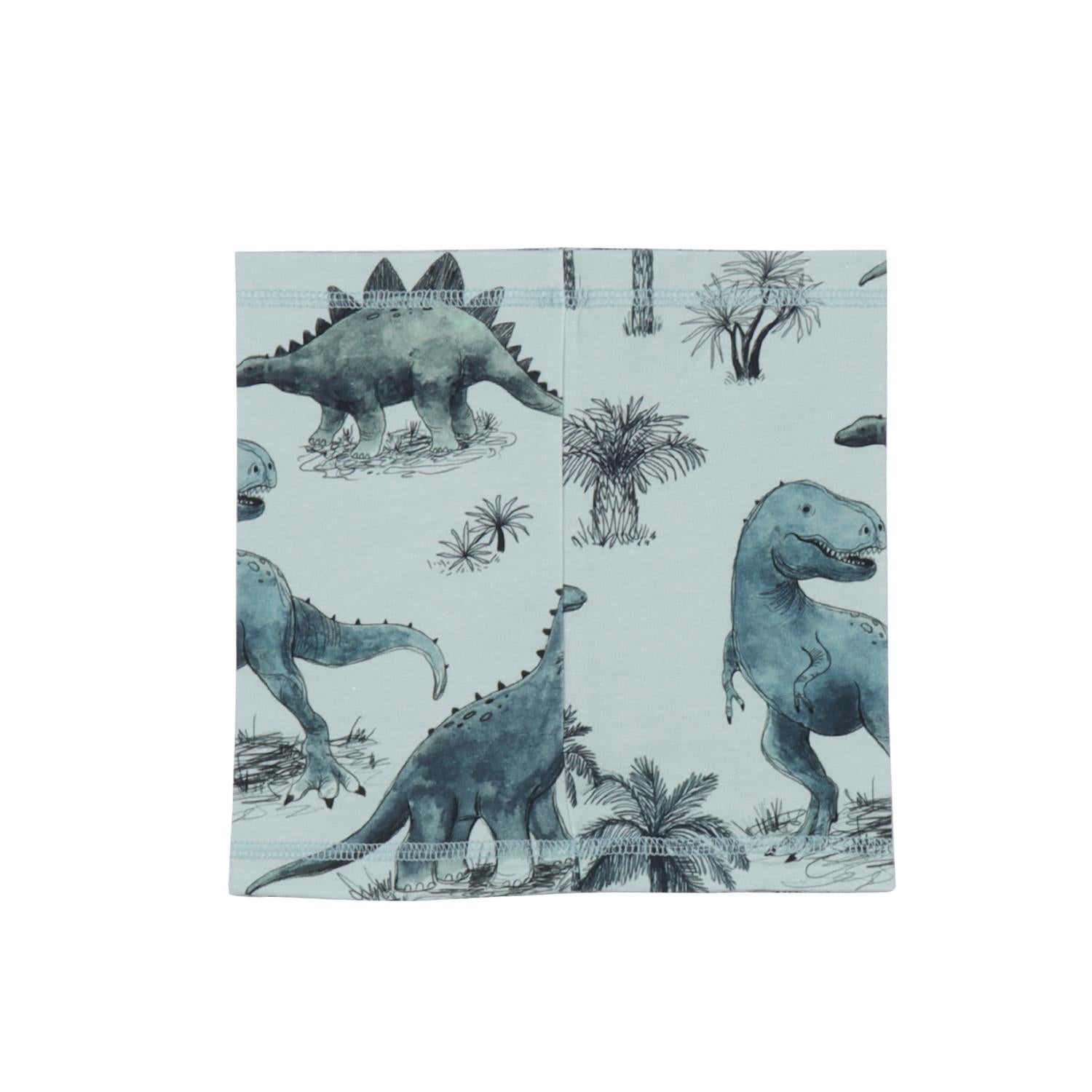 Dinosaurland - Baumwolle (Bio)