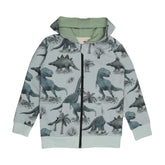 Dinosaurland-Sweat Jacket