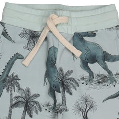 Dinosaurland-Jogger