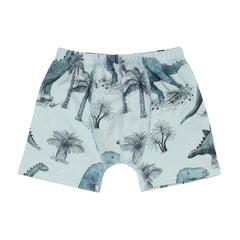 Dinosaurland - Baumwolle (Bio)