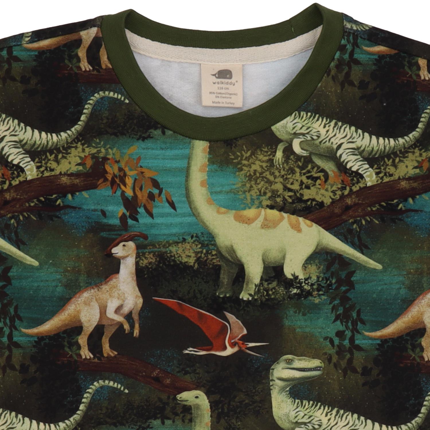 Dinasour Jungle-Sweatshirt