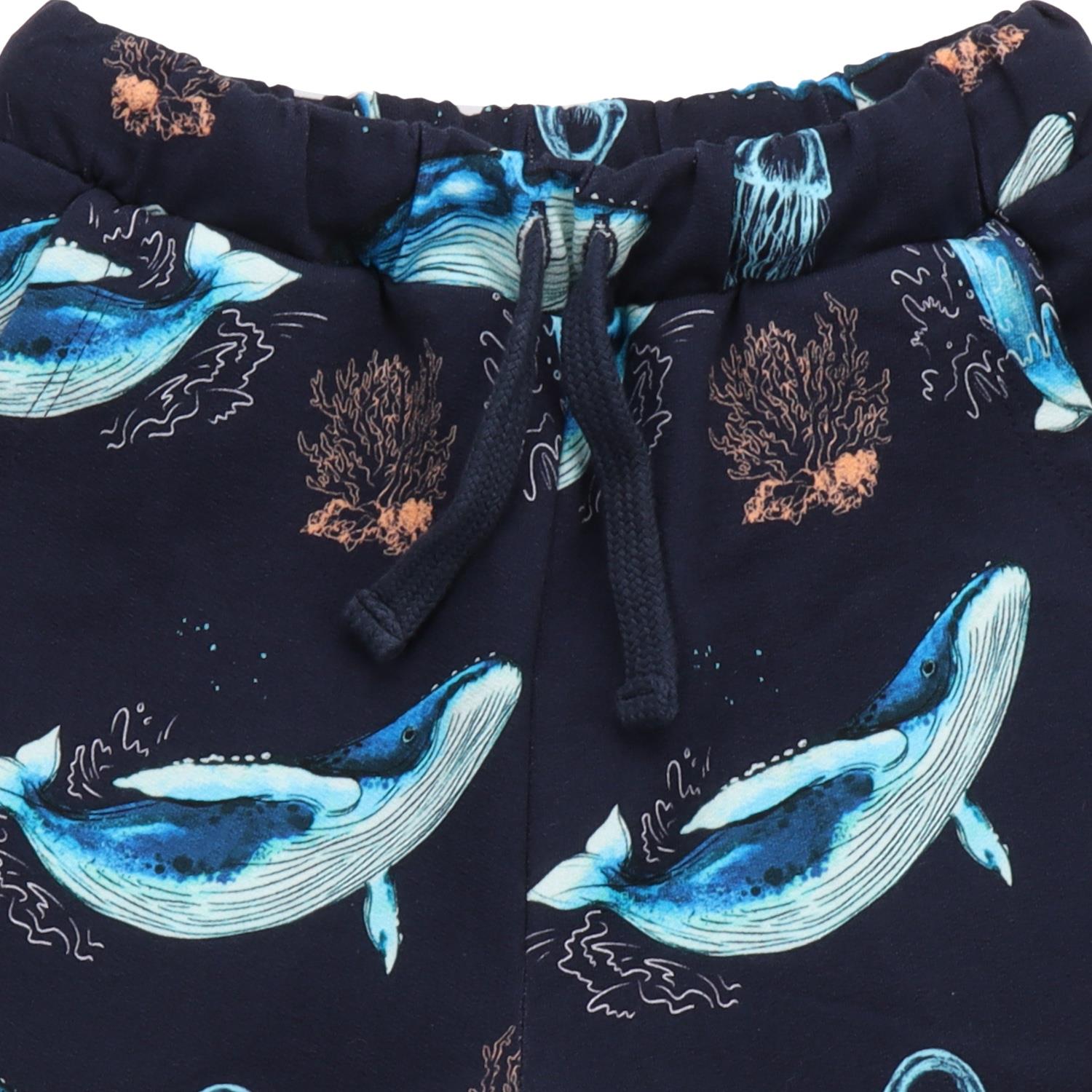 The Dancing Whales-Shorts