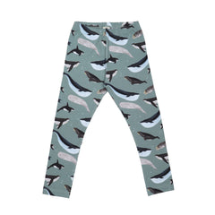 الحيتان العظيمة - طماق