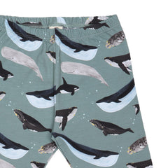 الحيتان العظيمة - طماق