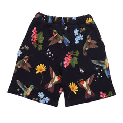 Hummingbirds Around Flowers-Shorts