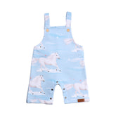 رومبر بدون أكمام مصنوع من القطن (عضوي)