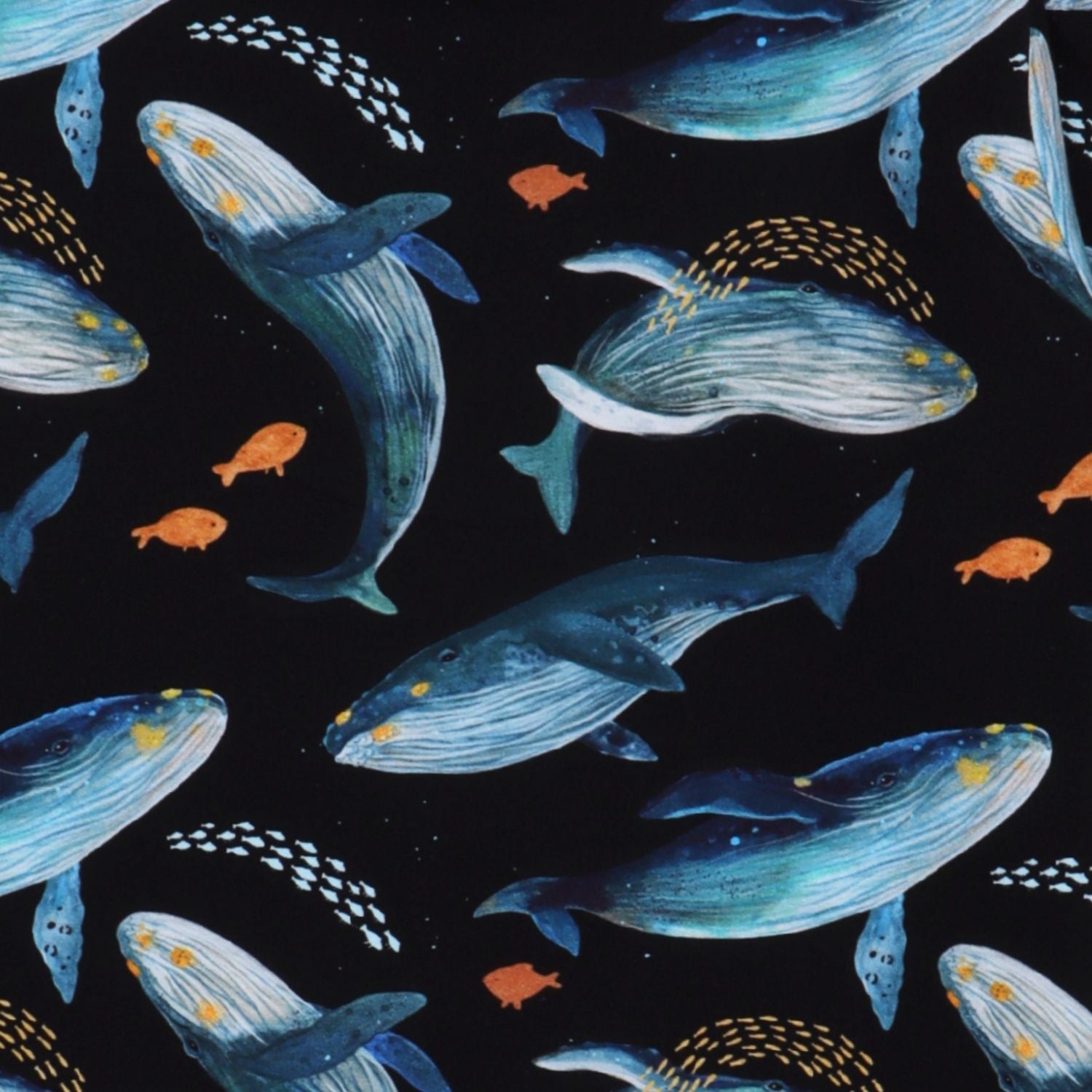 Humpback Whales-Jogger