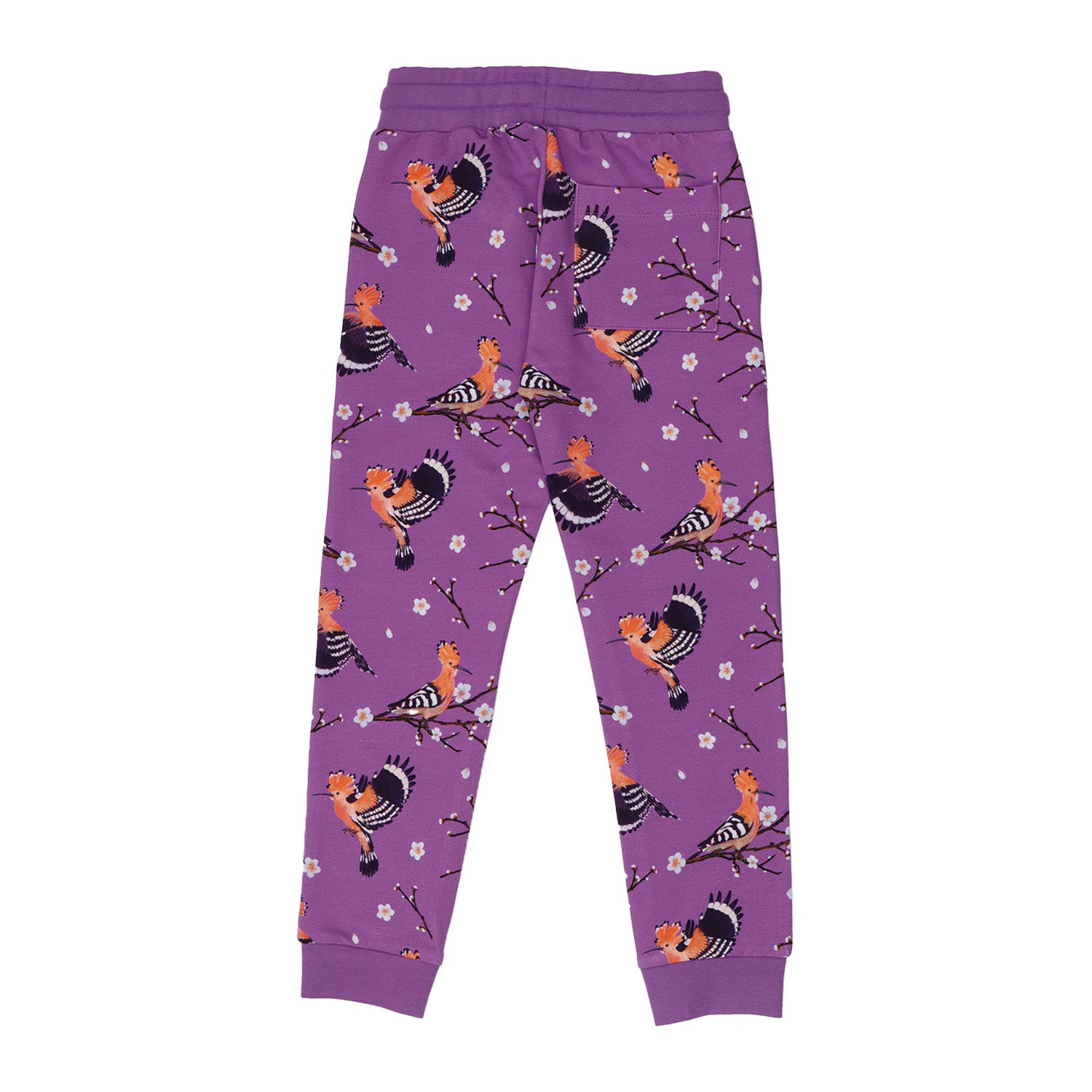 Happy Hoopoes Jogginghose für Kinder – Walkiddy nachhaltige Kindermode aus Bio-Baumwolle