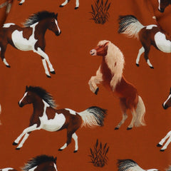 Joyful Horses-Sweatshirt 98