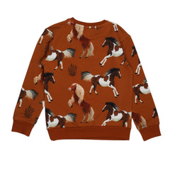 Joyful Horses-Sweatshirt 98
