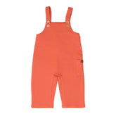 لانجوستين - دنغري