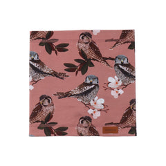 أصدقاء البومة - القطن (العضوي)