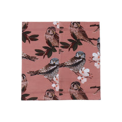 أصدقاء البومة - القطن (العضوي)