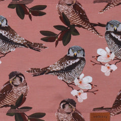 أصدقاء البومة - القطن (العضوي)