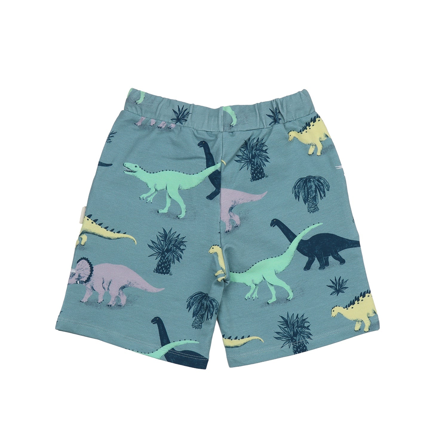 Running Dinosaurs-Shorts