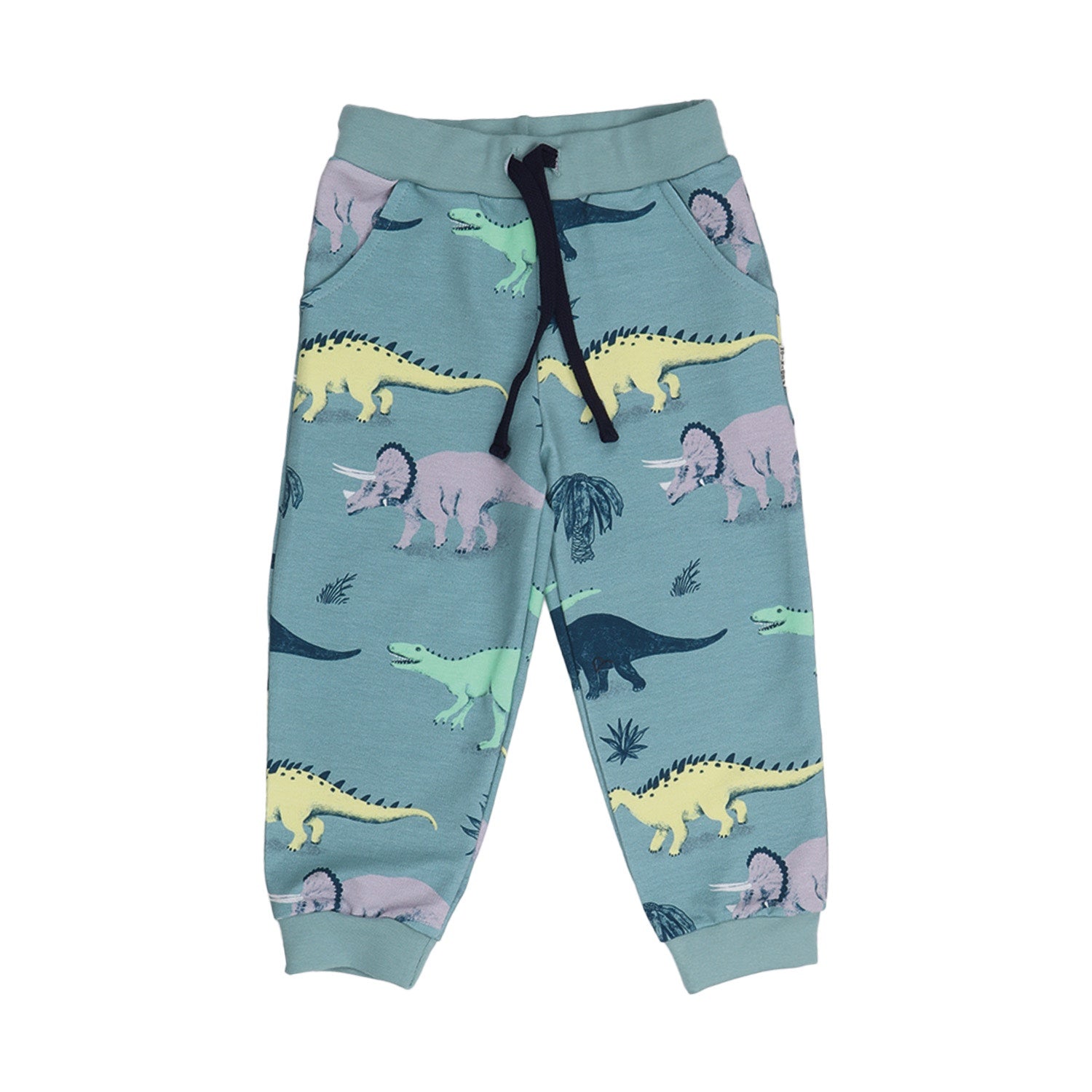 Running Dinosaurs-Baggy Pants