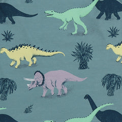 Running Dinosaurs-Baggy Pants
