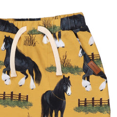 خيول شاير - بومفول (السيرة الذاتية)