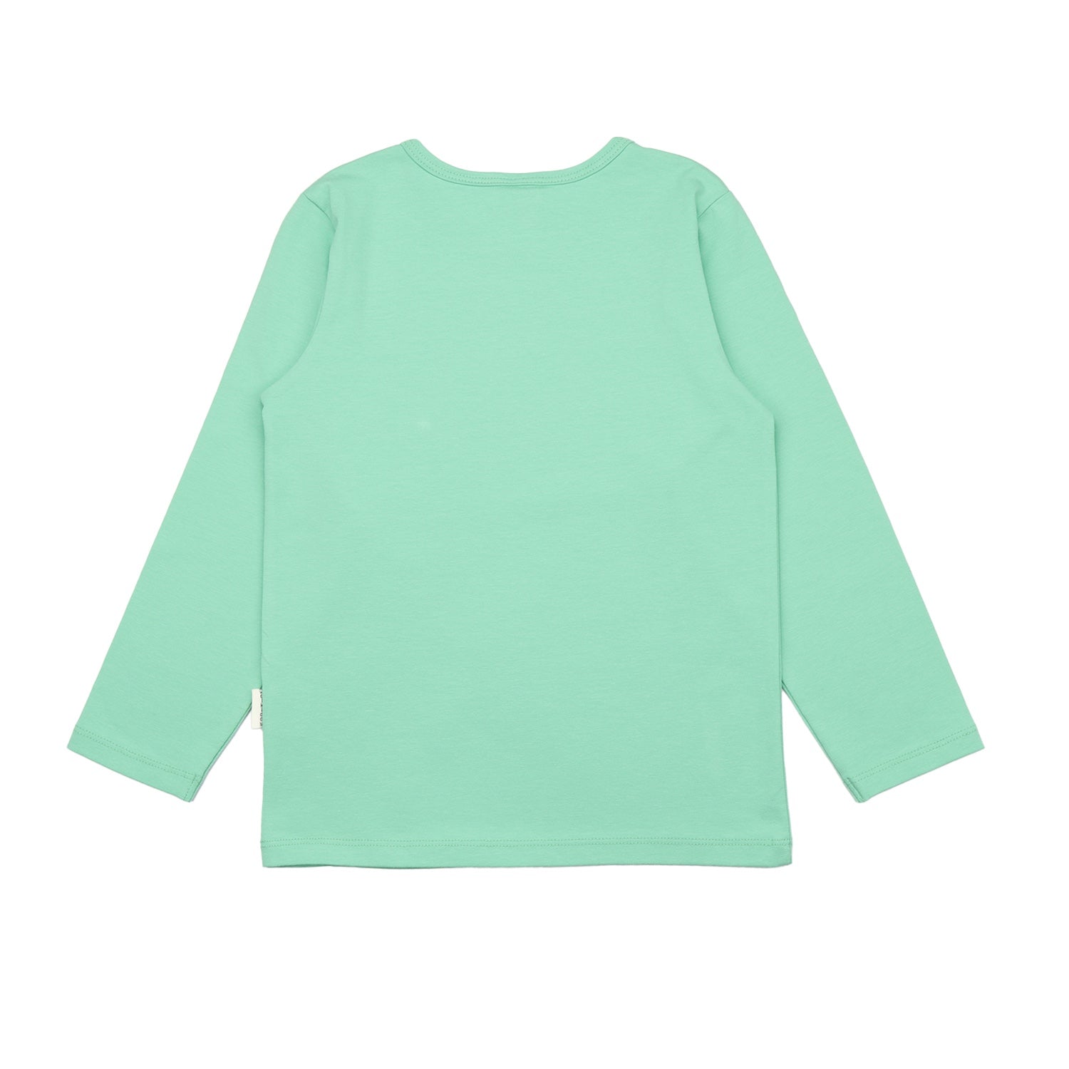 Swans in Spring-Shirt