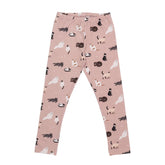 قطط متنوعة - طماق