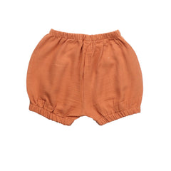 الجوز البني - الموصلي