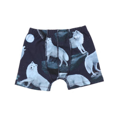 Cotton boxers (organic)