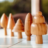 مجموعة باوم