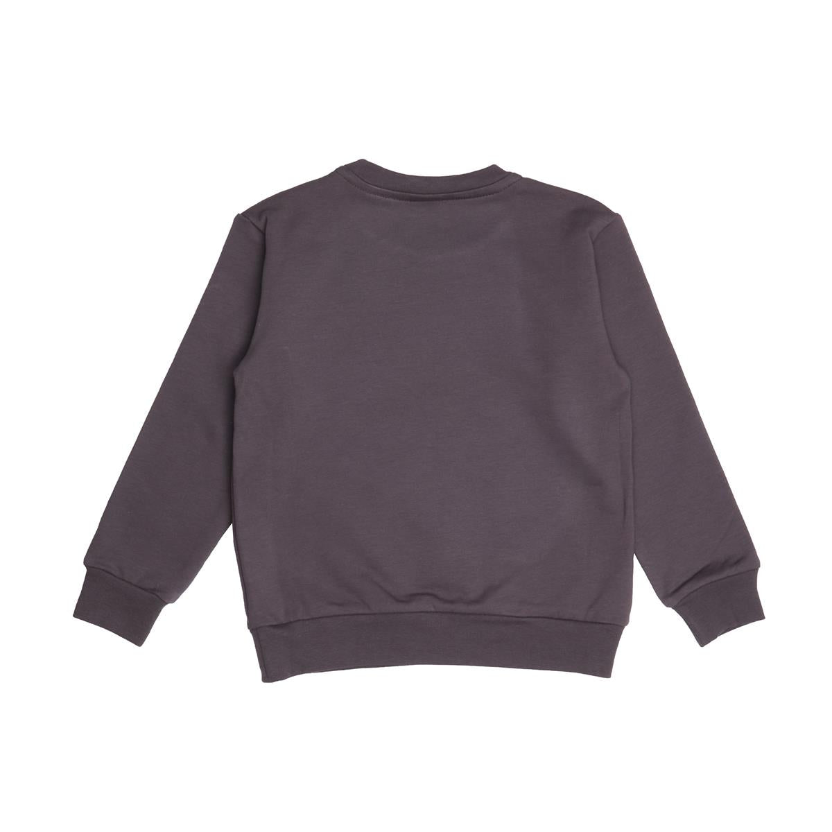 Pullover-Sweatshirt aus Baumwolle (Bio)