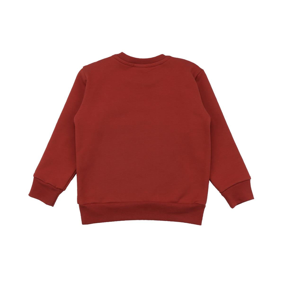 Pullover-Sweatshirt aus Baumwolle (Bio)