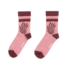 2 Paar Bio-Baumwollsocken mit Dinosaurier-Design – Nachhaltig, Bequem und Hautfreundlich