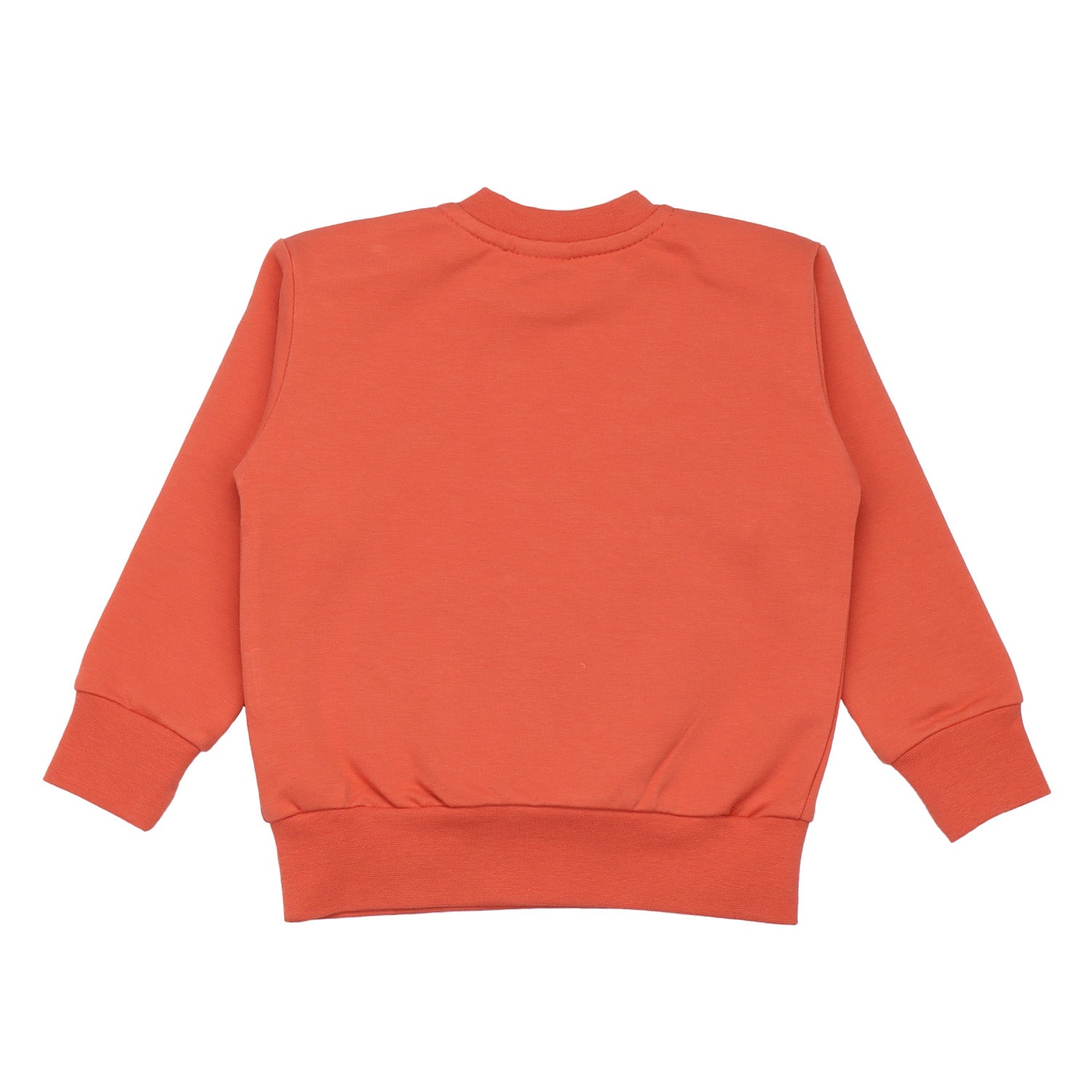 Cheerful Fruits - Sweatshirt