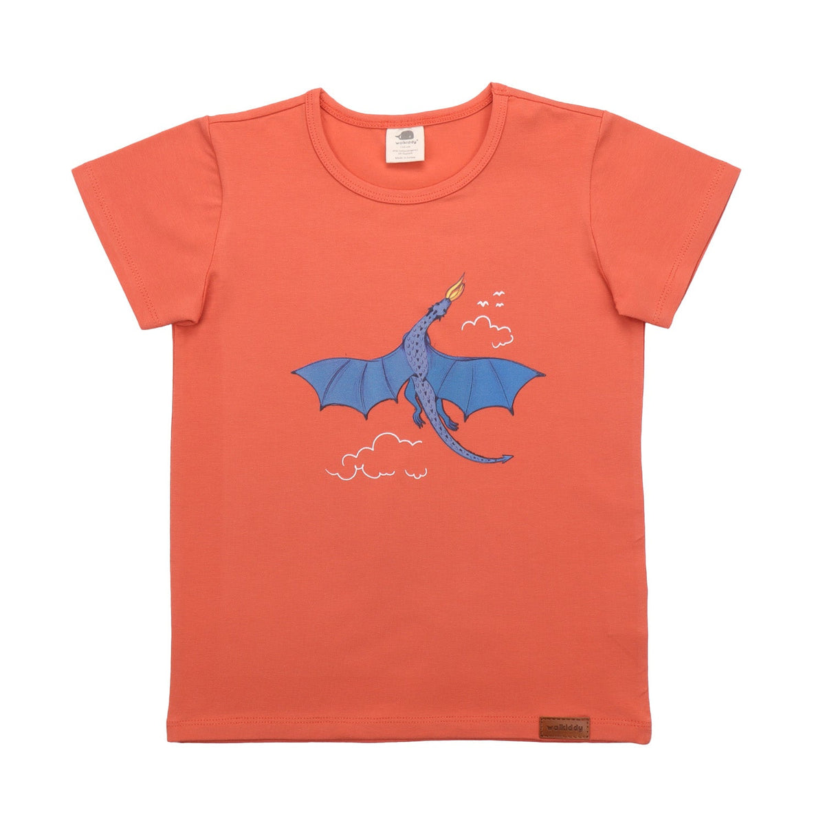 Dragones de colores - Camiseta