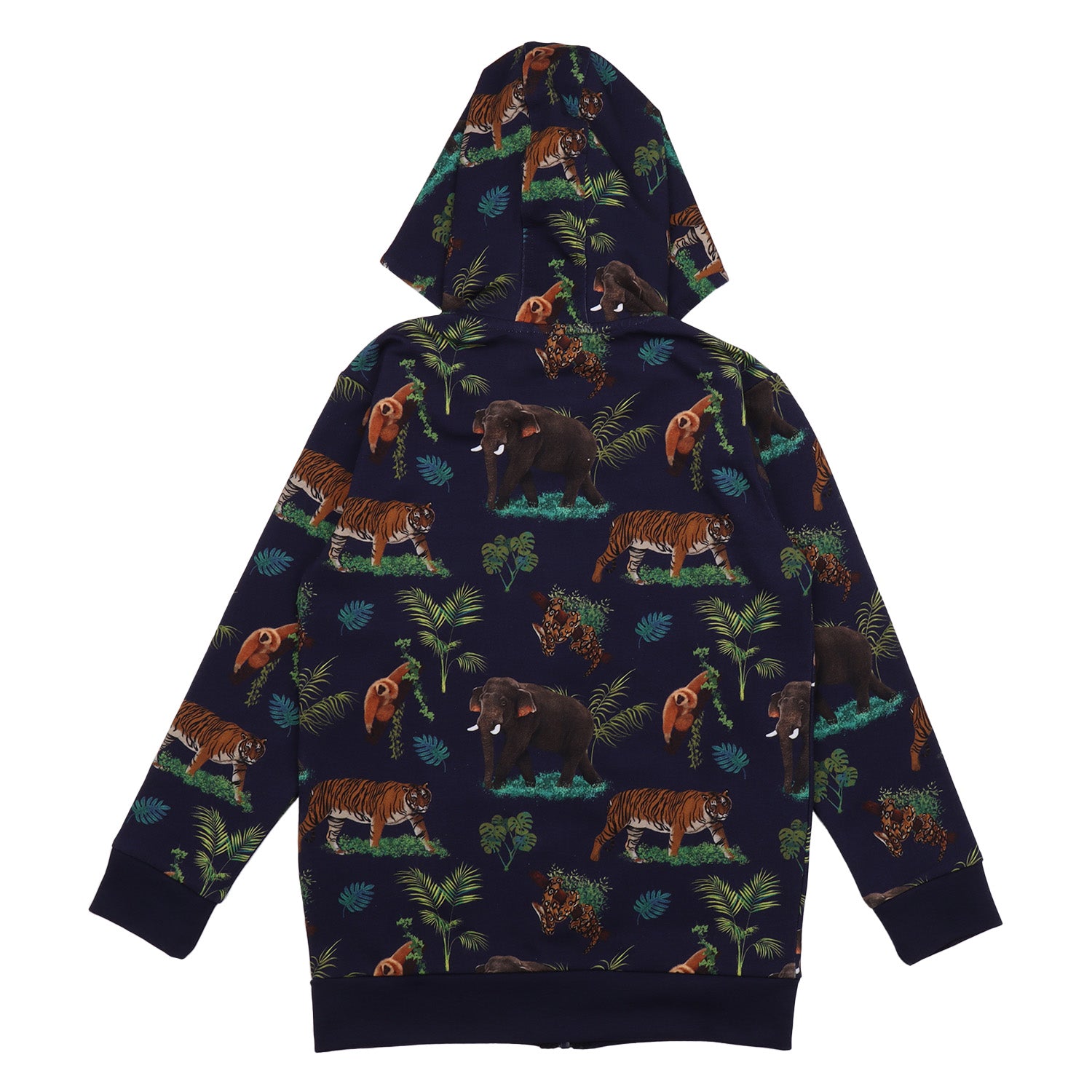 Asie tropicale - Veste sweat