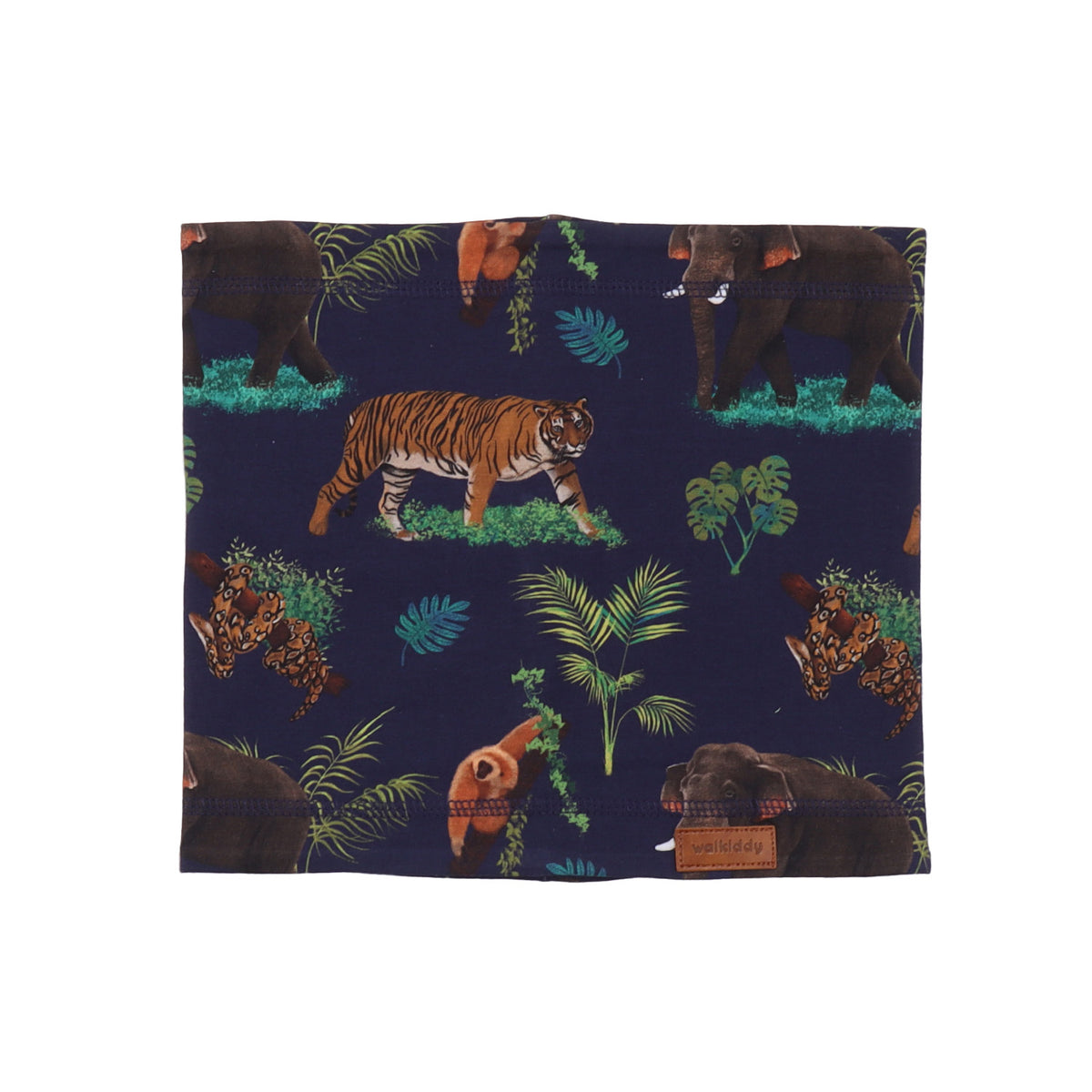 Ásia Tropical - Loop