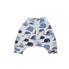 Cotton shorts (organic)