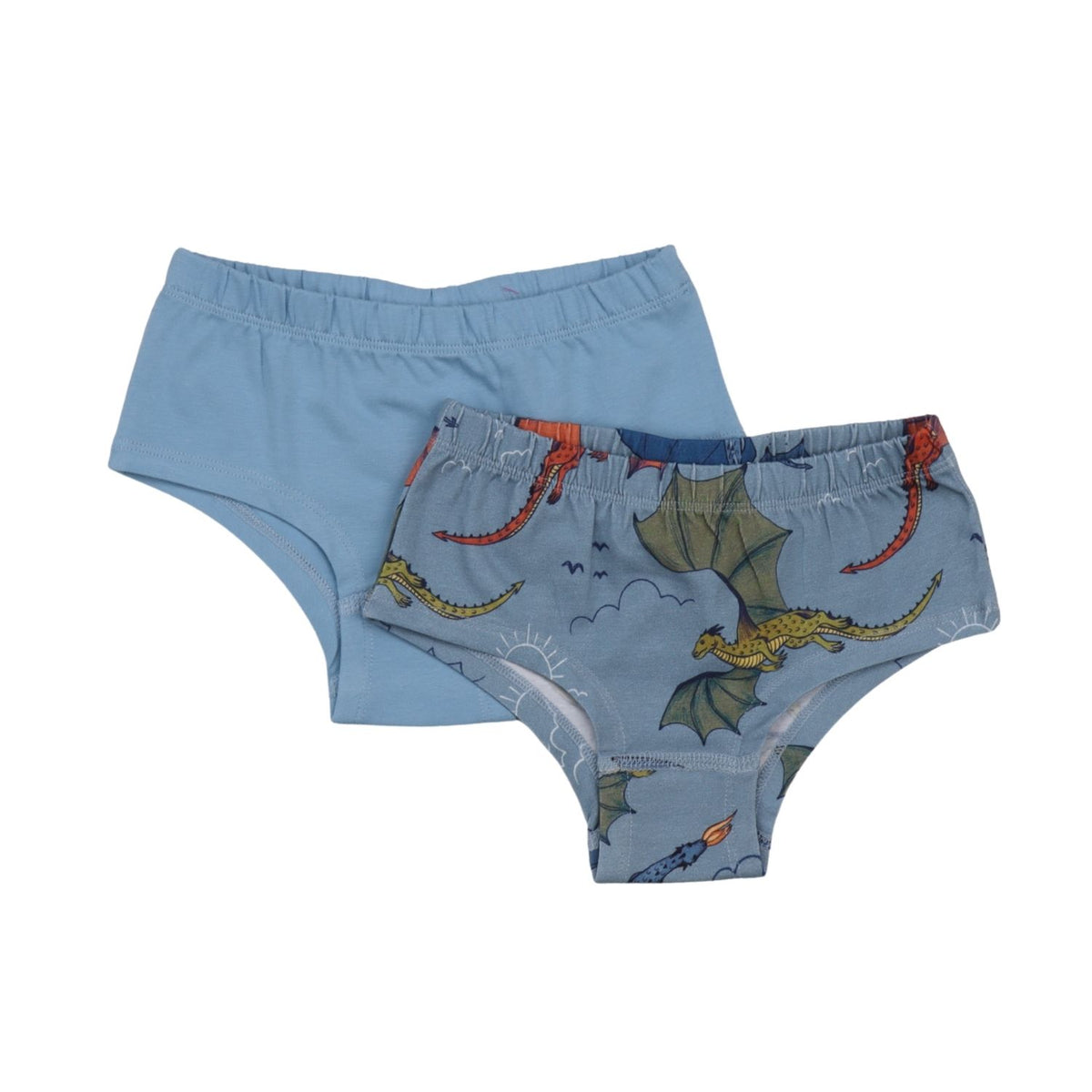 Colorful Dragon-Brief