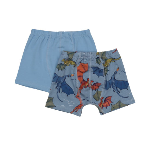 Colorful Dragon-Boxer