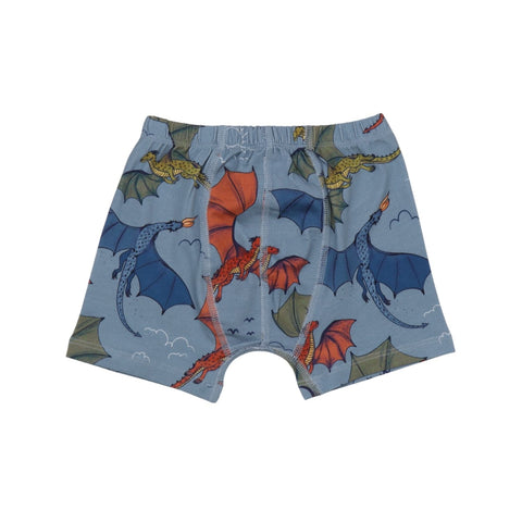 Colorful Dragon-Boxer