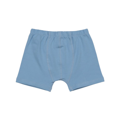 Colorful Dragon-Boxer