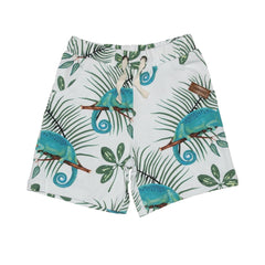 Cotton shorts (organic)