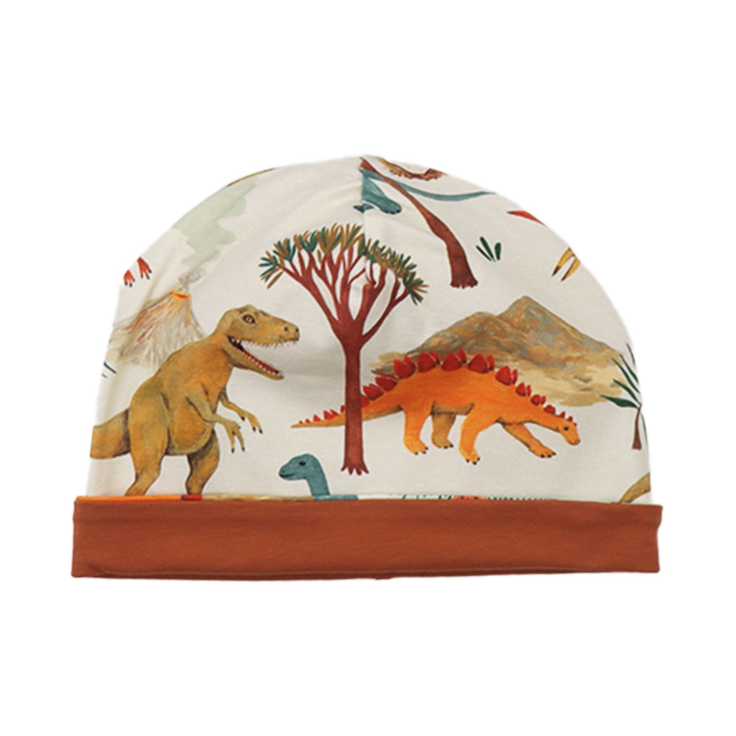 Dinasaur World-Beanie