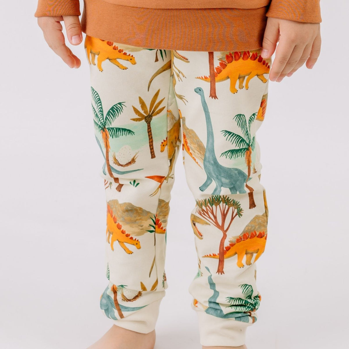 Dinasaur World-Jogger