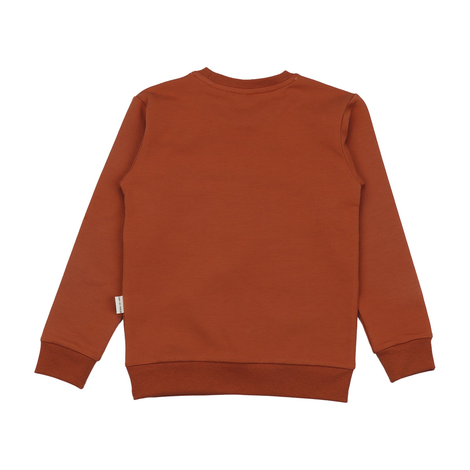 Dinasaur World-Sweatshirt