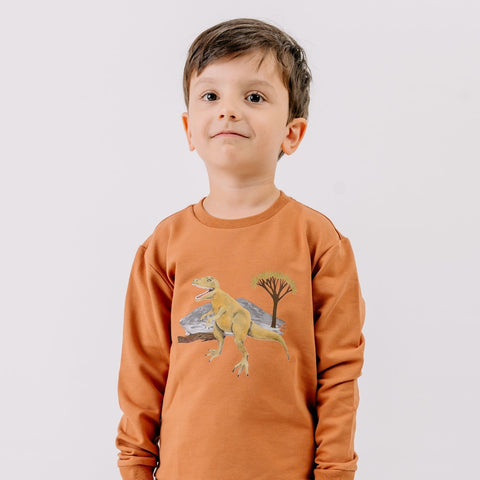 Dinasaur World-Sweatshirt