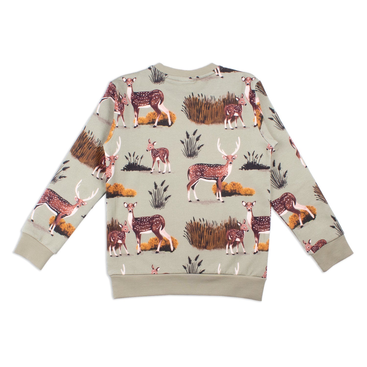 Pullover sweatshirt made of cotton (organic)