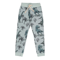 Dinosaurland-Jogger